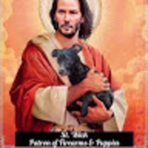 Meet your Posher, Lc